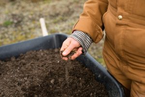 fertile soil 