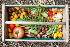 Can You Use Miracle-Gro For Vegetables?